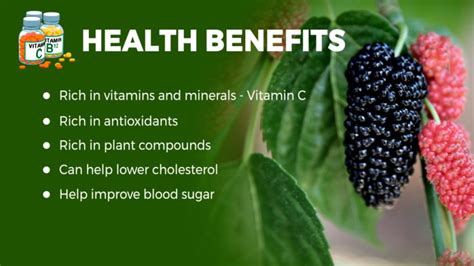 benefits of himalayan mulberry.